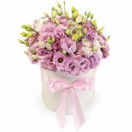  Заказ цветов в аланья  Розовый лизиантус в коробке