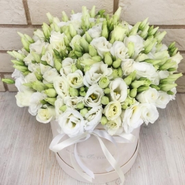 Alanya Florist White Lisianthus in a Box