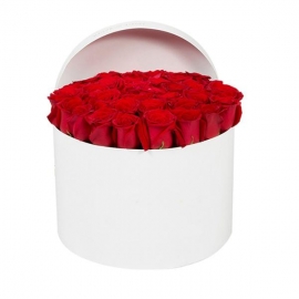  Alanya Blumen 41 Roses in a Box