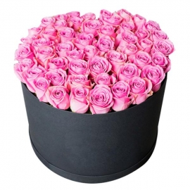  Alanya Flower 51 Pink Roses in a Box